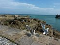 2013-10-01 13-28-23 Barfleur FGn
